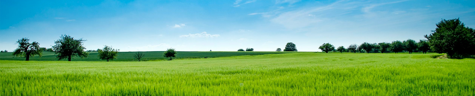 Sell-Your-Land-Nottingham-Derby-Leicester-Taylor-Made-Group